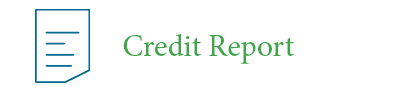 Credit Report